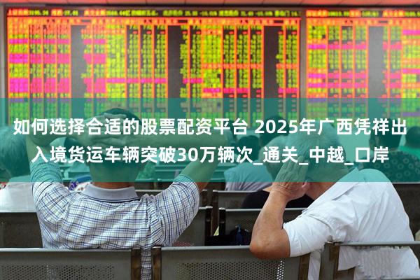 如何选择合适的股票配资平台 2025年广西凭祥出入境货运车辆突破30万辆次_通关_中越_口岸