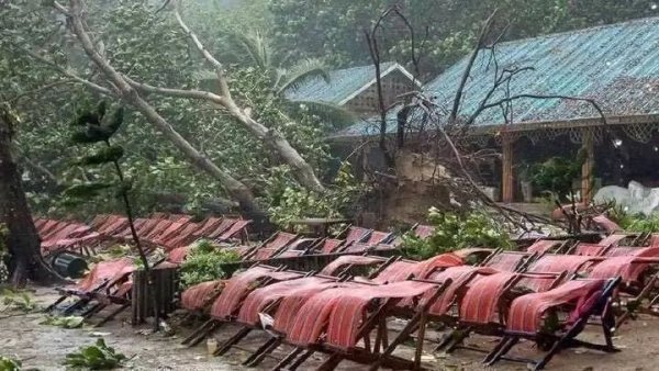 配资网站首页 泰国普吉岛一中国女游客被倾覆大树砸中去世！驻普吉领事办证实